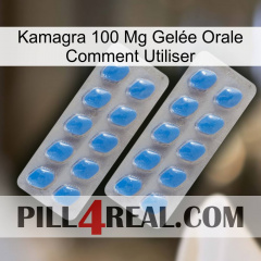 Kamagra 100 Mg Gelée Orale Comment Utiliser 23